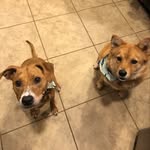 Matthew Altizer - @matt_altizer - Instagram