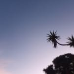 Matthew Anselm - @matthewanselm - Instagram