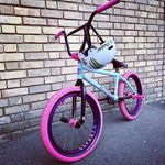 Matthew Ansell - @mattbmxansell - Instagram