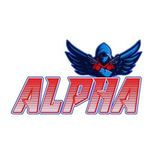 Matthew Anzalone - @bealphams - Instagram