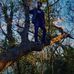 Matthew Ard - Facebook