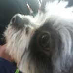 Matthew Ard - @ardmatthew - Instagram