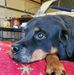 Matt Arndt - Facebook