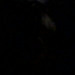 Matthew Buhr Arndt - @matthewbuhrarndt - Instagram