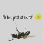 Matthew inne arndt - @matthewinne - Instagram
