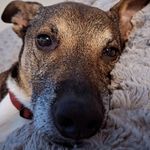 Matthew - @matthew_ashmore710 - Instagram