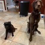 Matthew Bauer - @matthewbauer65 - Instagram
