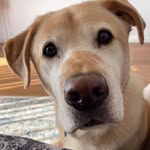 Matthew Axe - @stormbreakeraxe - Instagram
