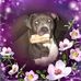Matthew Balli - Facebook