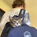 matthew - @matthew_bamber24 - Instagram