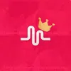 Musicaly - @_matthewsbarbara_ - TikTok