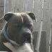 Matthew Bargo - Facebook