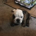 Matthew Barnette - @barnettem - Instagram
