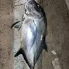 matthewbarnette28 - @matthewbarnette28 - TikTok