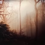 Matthew Coelho Bartram - @mcoelhobartram - Instagram