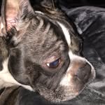 Matthew Bates - @matthew_bates - Instagram