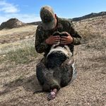 Matthew Beach - @matthewbeach5 - Instagram