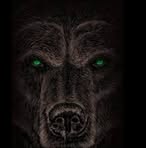 Matthew Bear - Facebook