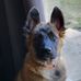 Matt Beausoleil - Facebook