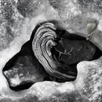 Matthew Beaver - @photos4philanthropy - Instagram