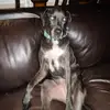 Matthew Beckley - @matthew.beckley7 - TikTok