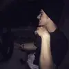 Matt - @matthewbeddow - TikTok