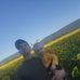 Matthew Beehler - Facebook
