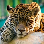 Matthew Beesley - @matthew.beesley0701 - Instagram