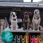 Matthew Beeson - Facebook