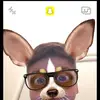 Matthew_Bellinato - @matthew_bellinato - TikTok