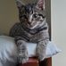 Matthew Bellucci - Facebook