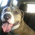 Matthew Benware - Facebook