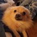 Matthew Benware - Facebook