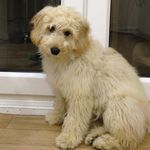 Matthew - @matthewbeswick167 - Instagram