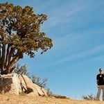 Matthew Beverley - @matthew.beverley - Instagram