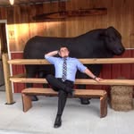 Matthew Biggins - @mattbiggins - Instagram