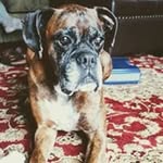 Mathew Bilodeau - @bilodeaumathew - Instagram