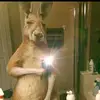 Matthew Bilodeau - @matthewbilodeau5213 - TikTok