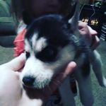 matthew biondo - @biondo.matthew - Instagram