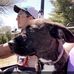 Matt Blaha - Facebook