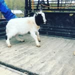 matthewblakemore - @matthewblakemo - Instagram