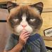 Matthew Blanchard - Facebook