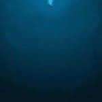 Matthew Blasdell - @deepwater765 - Instagram