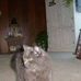 Matthew Blinn - Facebook