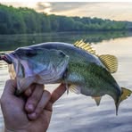 Matt Blome - Facebook