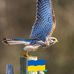 Matthew Blythe - Facebook
