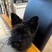Matthew Blythe - Facebook
