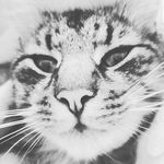 Matthew bodek - @matthew_bodek - Instagram