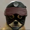 matthewbode3 - @matthew_bode - TikTok