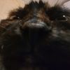 matthewboll - @tvey6 - TikTok